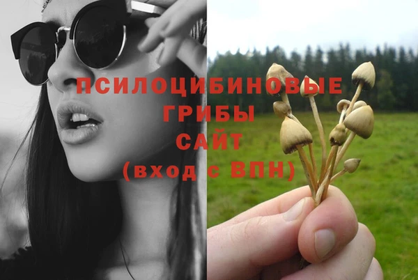 прущие крисы Армянск