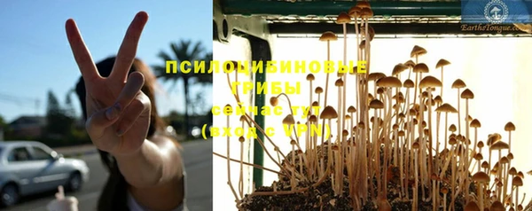 прущие крисы Армянск