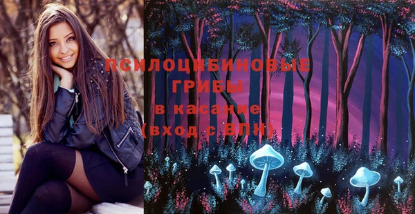 прущие крисы Армянск