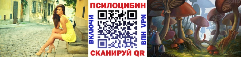 Галлюциногенные грибы Psilocybe  Ленинск-Кузнецкий 